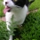 Userbild von cheshirecat